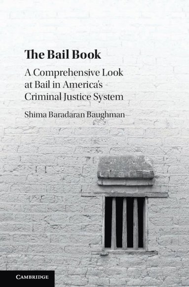 bokomslag The Bail Book