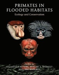 bokomslag Primates in Flooded Habitats