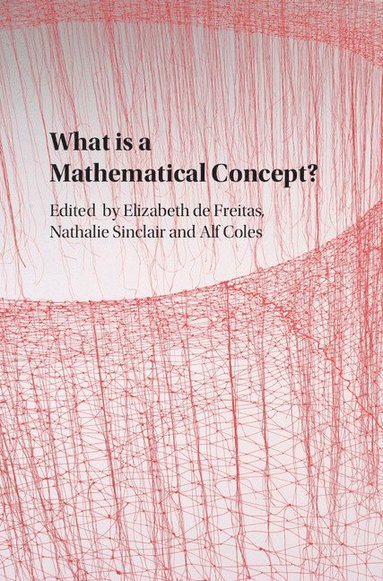 bokomslag What Is a Mathematical Concept?