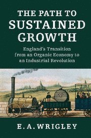 bokomslag Path to Sustained Growth