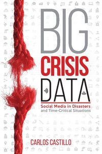 bokomslag Big Crisis Data