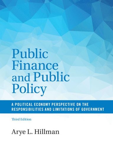 bokomslag Public Finance and Public Policy