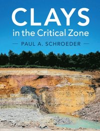 bokomslag Clays in the Critical Zone