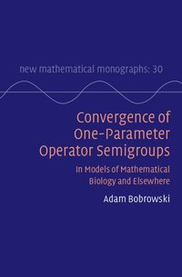bokomslag Convergence of One-Parameter Operator Semigroups