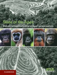 bokomslag Industrial Agriculture and Ape Conservation