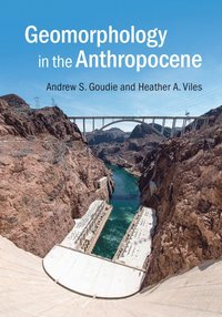 bokomslag Geomorphology in the Anthropocene