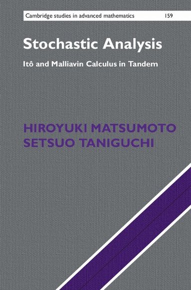 Hiroyuki Matsumoto, Setsuo Taniguchi - Stochastic Analysis, Inbunden