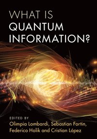 bokomslag What is Quantum Information?