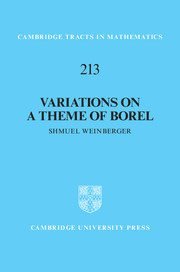 Shmuel Weinberger, Shmuel (University of Chicago) Weinberger - Variations on a Theme of Borel, Inbunden