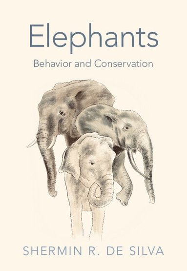 bokomslag Elephants