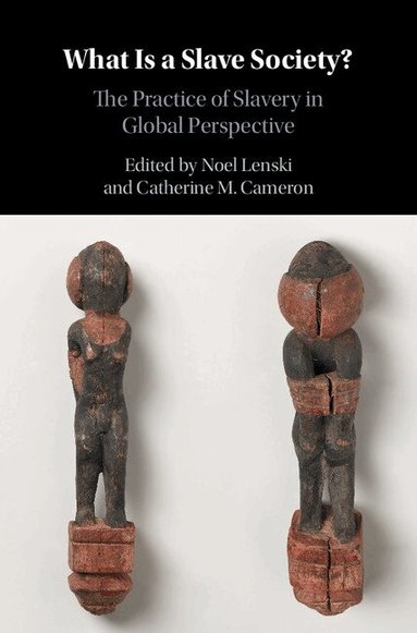 Noel Lenski, Catherine M. Cameron - What Is a Slave Society?, Inbunden