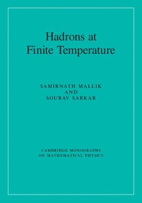 bokomslag Hadrons at Finite Temperature