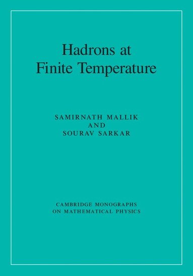 bokomslag Hadrons at Finite Temperature