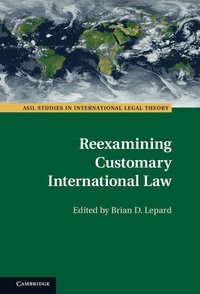 bokomslag Reexamining Customary International Law