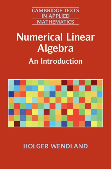 Holger Wendland - Numerical Linear Algebra, Inbunden