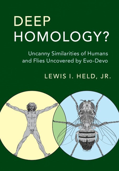 Deep Homology? 1