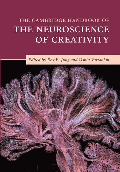 bokomslag The Cambridge Handbook of the Neuroscience of Creativity