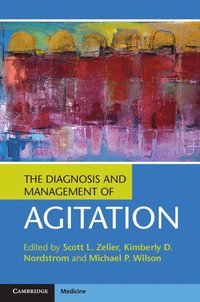 bokomslag The Diagnosis and Management of Agitation