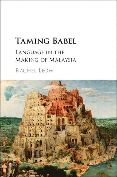 bokomslag Taming Babel