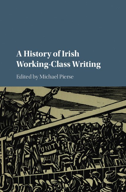 A History of Irish Working-Class Writing 1