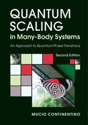 bokomslag Quantum Scaling in Many-Body Systems