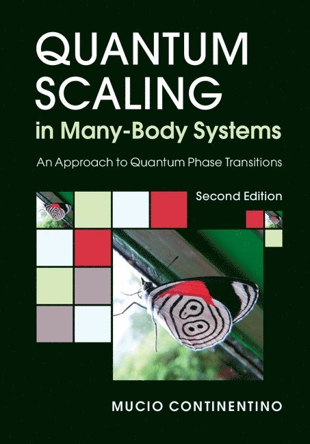 Quantum Scaling in Many-Body Systems 1