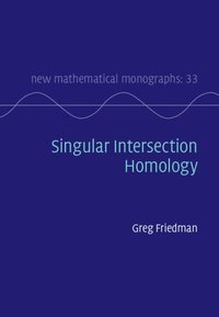 bokomslag Singular Intersection Homology