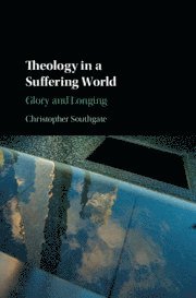 bokomslag Theology in a Suffering World