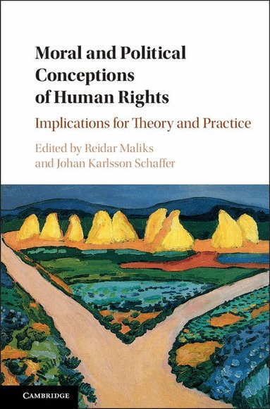 Reidar Maliks, Johan Karlsson Schaffer - Moral and Political Conceptions of Human Rights, Inbunden