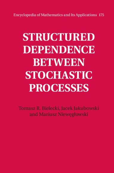 bokomslag Structured Dependence between Stochastic Processes
