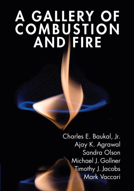 A Gallery of Combustion and Fire 1