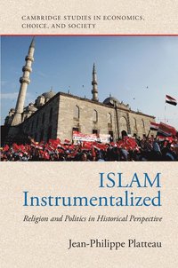 bokomslag Islam Instrumentalized