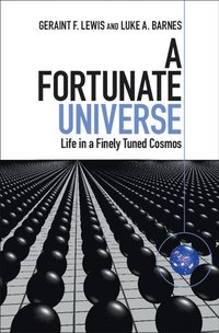 bokomslag A Fortunate Universe