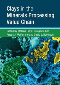 bokomslag Clays in the Minerals Processing Value Chain