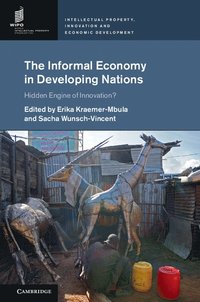 bokomslag The Informal Economy in Developing Nations