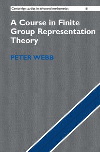 bokomslag A Course in Finite Group Representation Theory