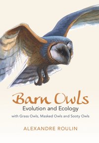 bokomslag Barn Owls