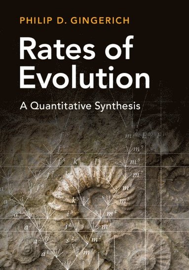 bokomslag Rates of Evolution