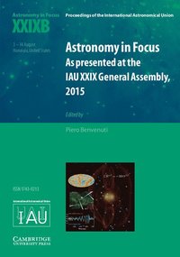 bokomslag Astronomy in Focus XXIXB