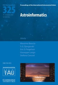 bokomslag Astroinformatics (IAU S325)