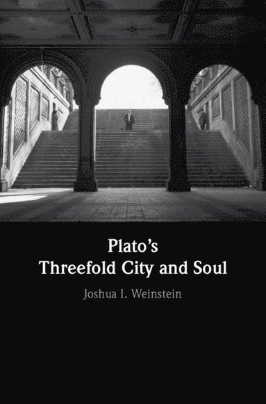 bokomslag Plato's Threefold City and Soul