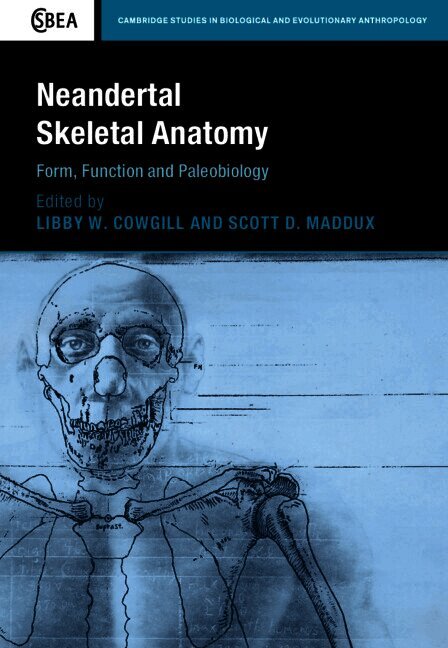 Neandertal Skeletal Anatomy