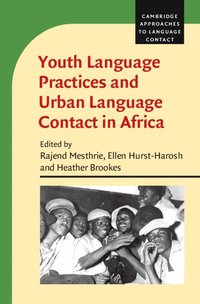 bokomslag Youth Language Practices and Urban Language Contact in Africa