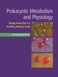 bokomslag Prokaryotic Metabolism and Physiology
