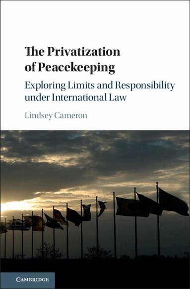 Lindsey Cameron - The Privatization of Peacekeeping, Inbunden