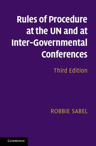 bokomslag Rules of Procedure at the Un and at Inter-Governmental Conferences
