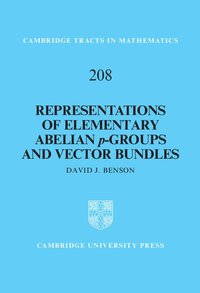 bokomslag Representations of Elementary Abelian p-Groups and Vector Bundles