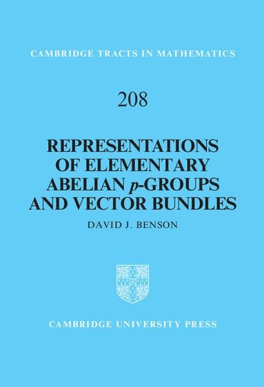 bokomslag Representations of Elementary Abelian p-Groups and Vector Bundles