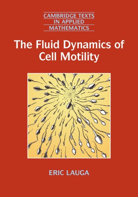 The Fluid Dynamics of Cell Motility 1