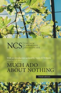 bokomslag Much Ado about Nothing